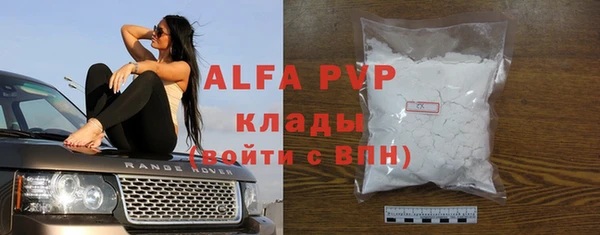 гидра Вязьма