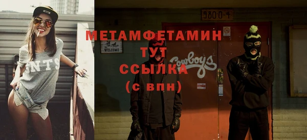 гидра Вязьма