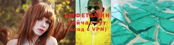 гидра Вязьма