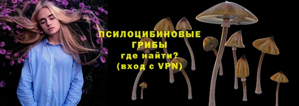 MESCALINE Вяземский