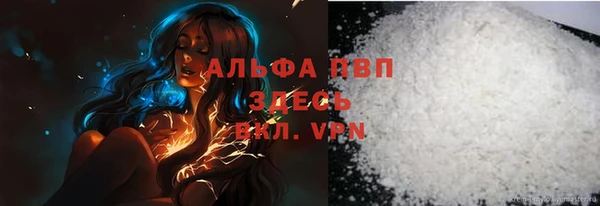 гидра Вязьма