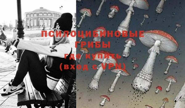 ECSTASY Вязники