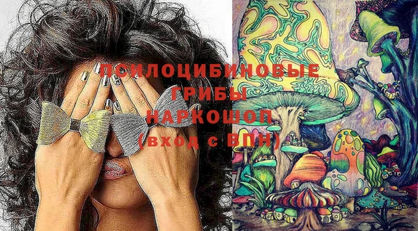 гидра Вязьма