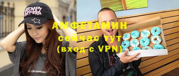 гидра Вязьма