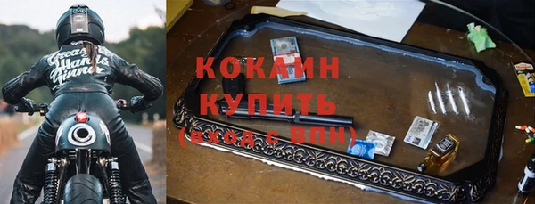 гидра Вязьма