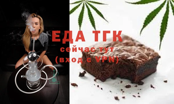 гидра Вязьма