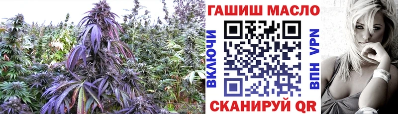 Купить закладки Химки ТГК вейп с тгк