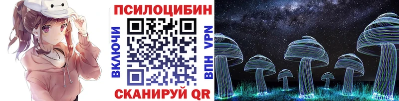 Купить  Химки  Псилоцибиновые грибы Magic Shrooms 